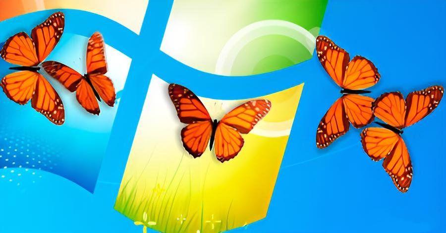 点击查看原图 22.jpg