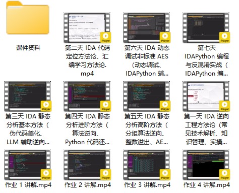IDA 9.0逆向工程大师课程：零基础到精英实践（价值299元）插图1